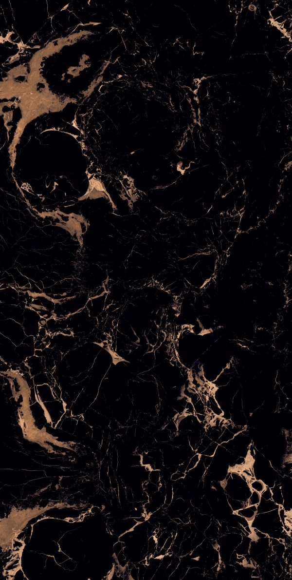 Panter_Brown_Panther-R2