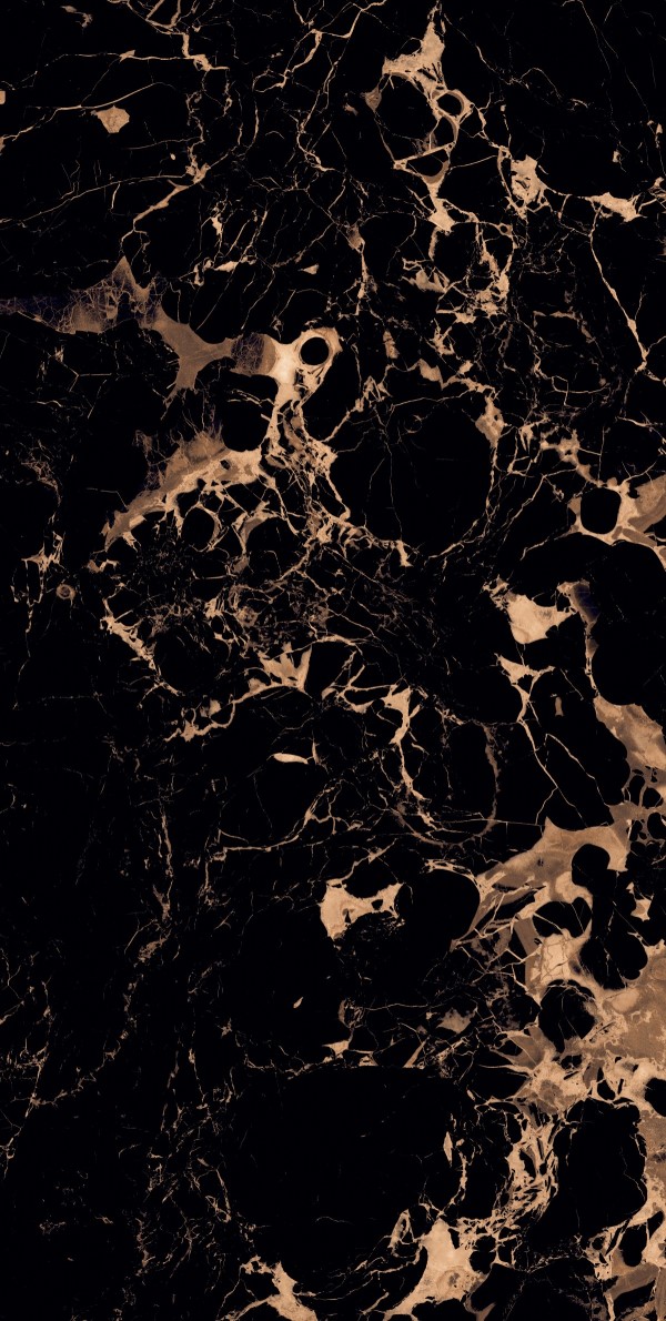 Panter_Brown_Panther-R3